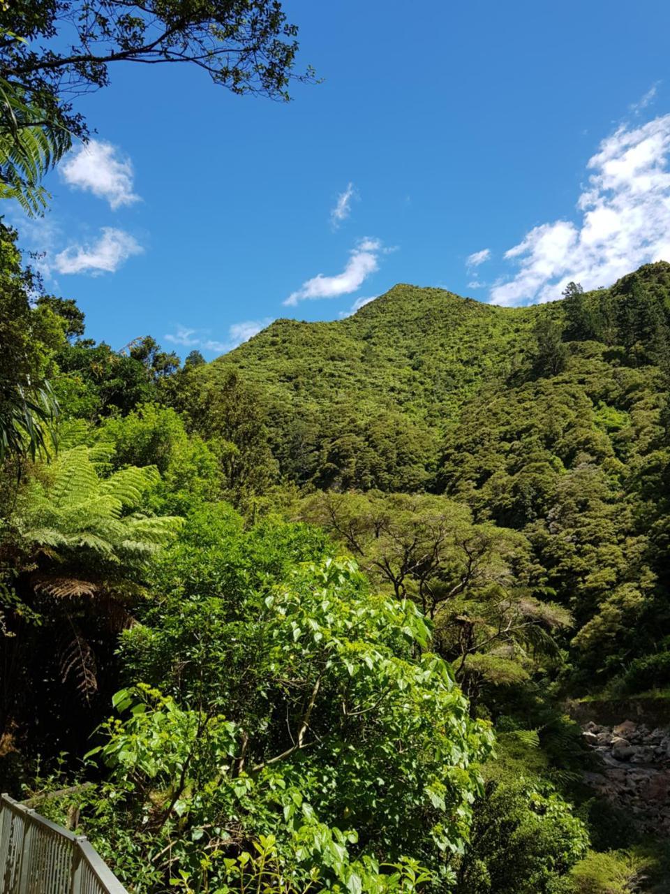Riverside Accommodation Karangahake Exterior foto